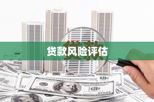 定襄贷款风险评估