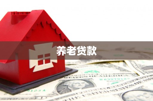 定襄养老贷款