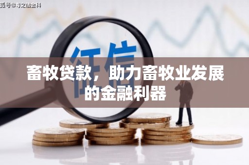 定襄畜牧贷款，助力畜牧业发展的金融利器