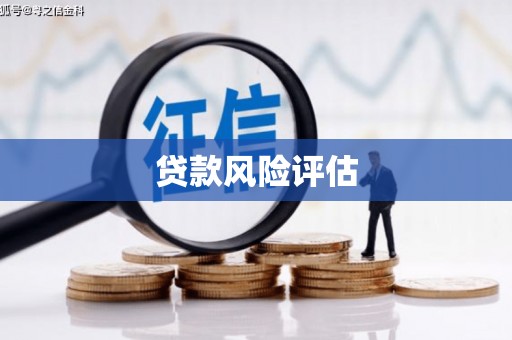 定襄贷款风险评估