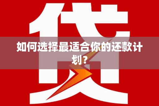 定襄如何选择最适合你的还款计划？