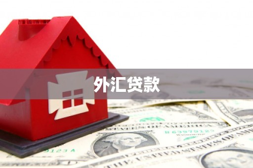 定襄外汇贷款