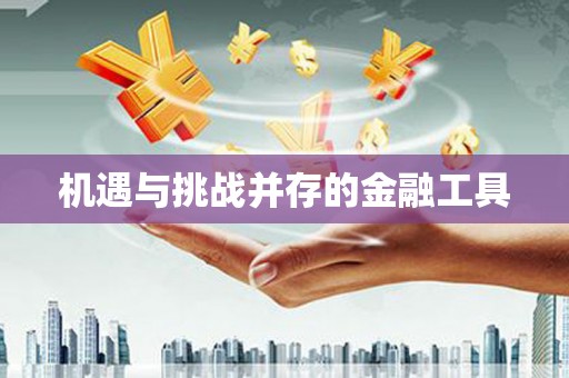 定襄机遇与挑战并存的金融工具