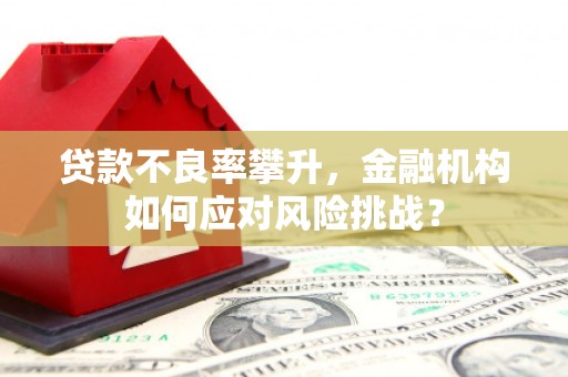 定襄贷款不良率攀升，金融机构如何应对风险挑战？
