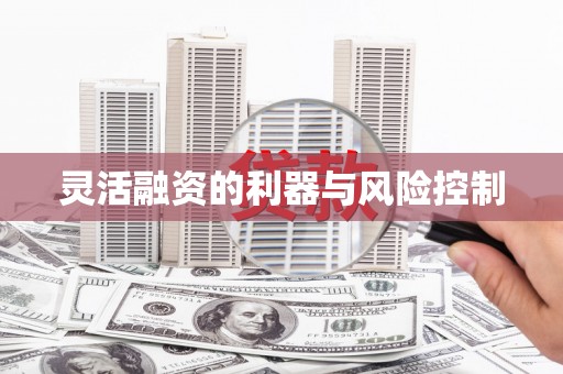 定襄灵活融资的利器与风险控制