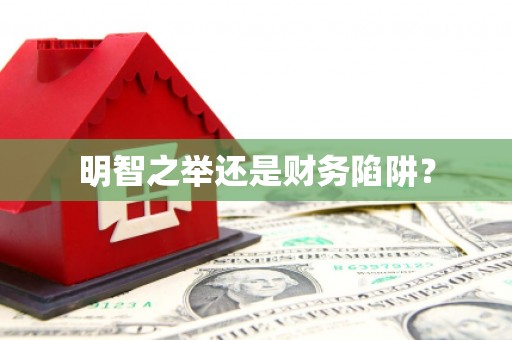 定襄明智之举还是财务陷阱？