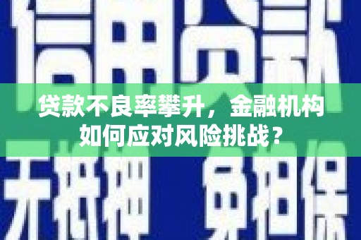 定襄贷款不良率攀升，金融机构如何应对风险挑战？