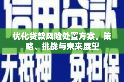 定襄优化贷款风险处置方案，策略、挑战与未来展望