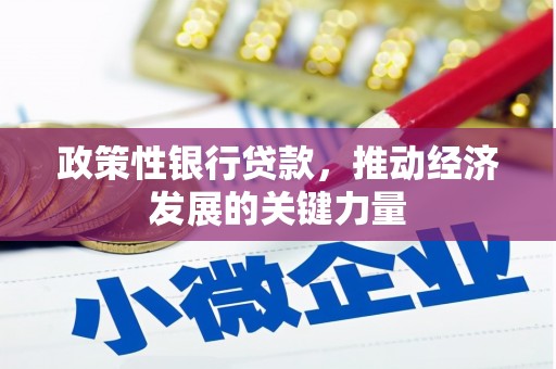 定襄政策性银行贷款，推动经济发展的关键力量