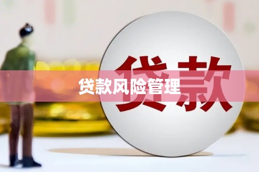 定襄贷款风险管理