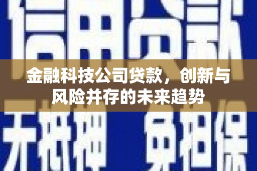 定襄金融科技公司贷款，创新与风险并存的未来趋势