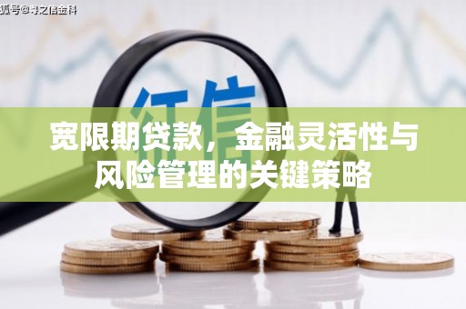 定襄宽限期贷款，金融灵活性与风险管理的关键策略