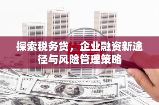 定襄探索税务贷，企业融资新途径与风险管理策略