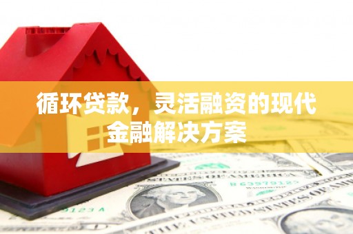 定襄循环贷款，灵活融资的现代金融解决方案