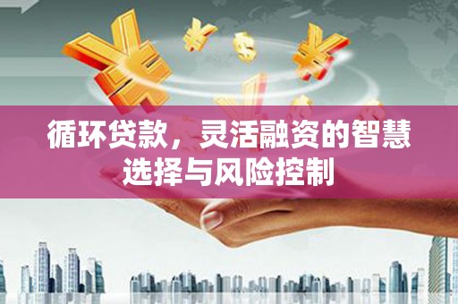 定襄循环贷款，灵活融资的智慧选择与风险控制