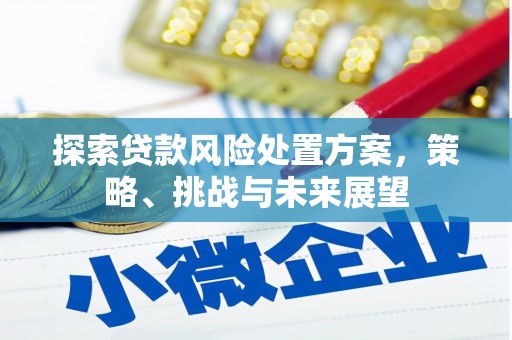 定襄探索贷款风险处置方案，策略、挑战与未来展望