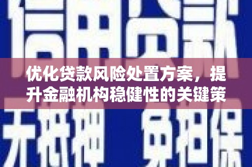 定襄优化贷款风险处置方案，提升金融机构稳健性的关键策略