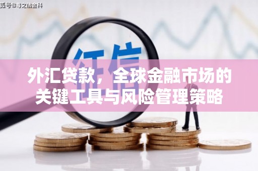 定襄外汇贷款，全球金融市场的关键工具与风险管理策略