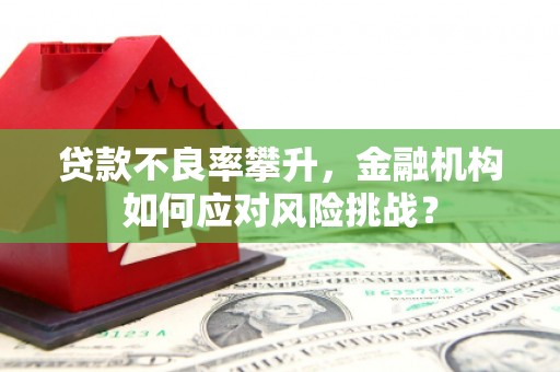 定襄贷款不良率攀升，金融机构如何应对风险挑战？