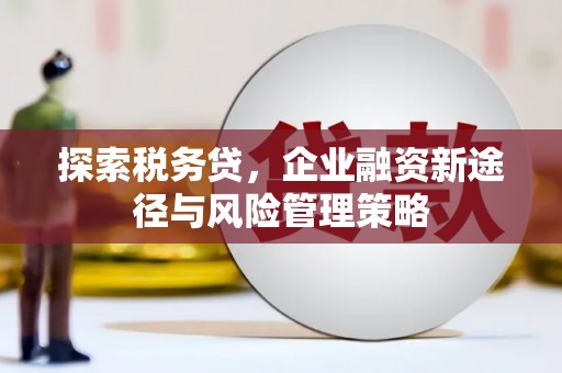 定襄探索税务贷，企业融资新途径与风险管理策略