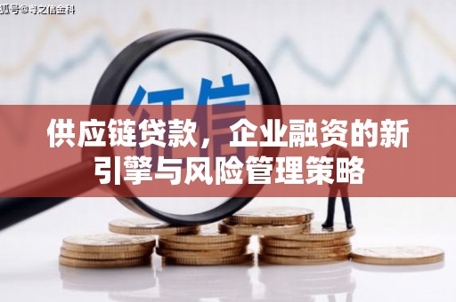 定襄供应链贷款，企业融资的新引擎与风险管理策略