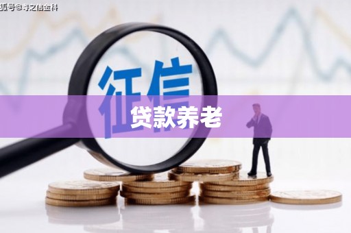 定襄贷款养老