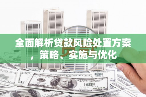 定襄全面解析贷款风险处置方案，策略、实施与优化