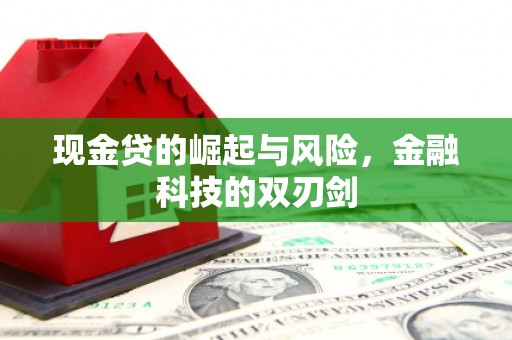 定襄现金贷的崛起与风险，金融科技的双刃剑