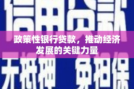 定襄政策性银行贷款，推动经济发展的关键力量