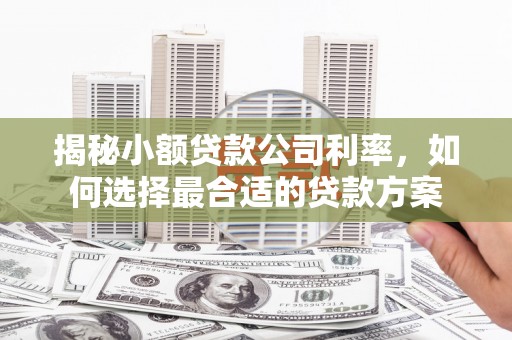 定襄揭秘小额贷款公司利率，如何选择最合适的贷款方案