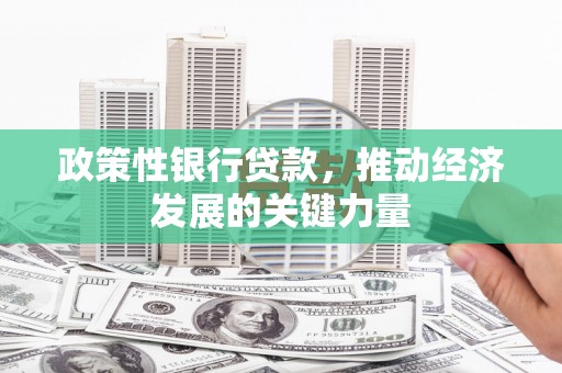 定襄政策性银行贷款，推动经济发展的关键力量