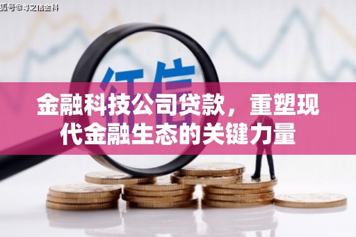 定襄金融科技公司贷款，重塑现代金融生态的关键力量