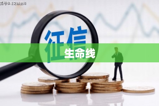 定襄生命线