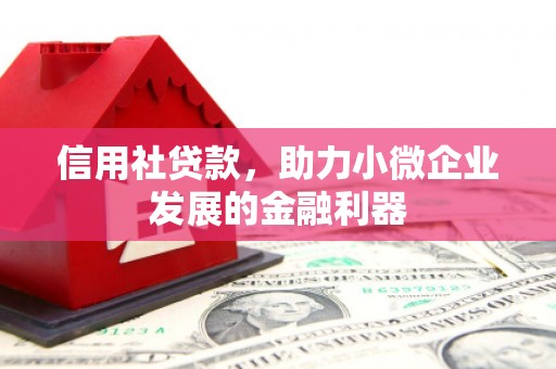 定襄信用社贷款，助力小微企业发展的金融利器