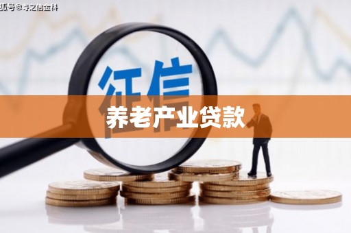 定襄养老产业贷款