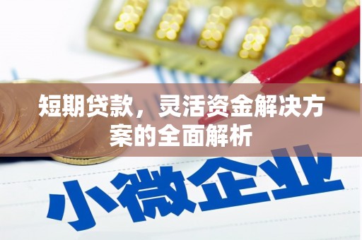 定襄短期贷款，灵活资金解决方案的全面解析