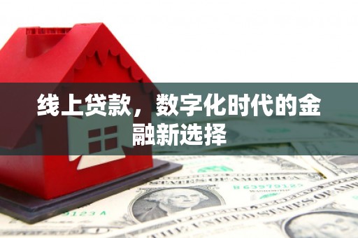 定襄线上贷款，数字化时代的金融新选择