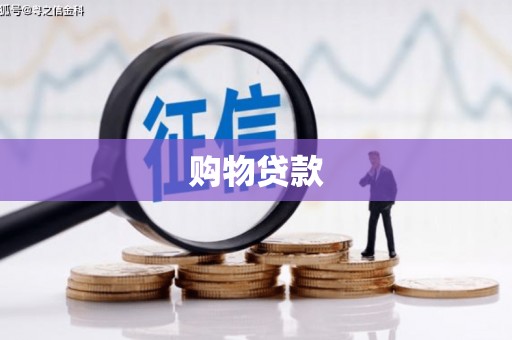 定襄购物贷款