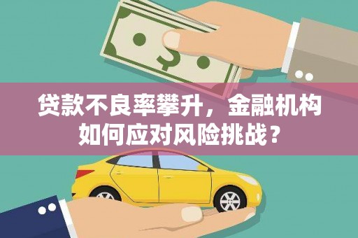 定襄贷款不良率攀升，金融机构如何应对风险挑战？
