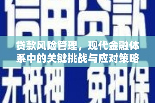 定襄贷款风险管理，现代金融体系中的关键挑战与应对策略