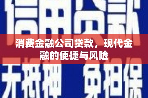 定襄消费金融公司贷款，现代金融的便捷与风险
