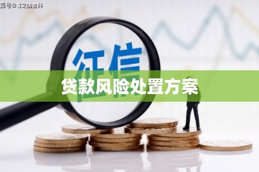 定襄贷款风险处置方案