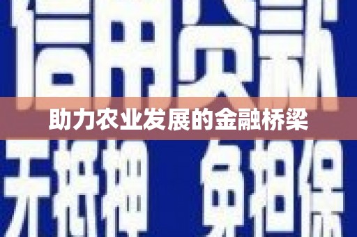 定襄助力农业发展的金融桥梁