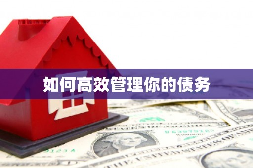 定襄如何高效管理你的债务