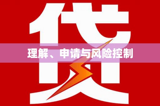 定襄理解、申请与风险控制