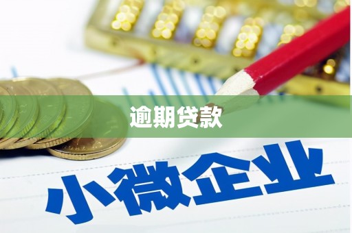 定襄逾期贷款